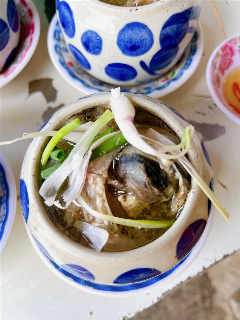 Mắt cá ngừ đại dương